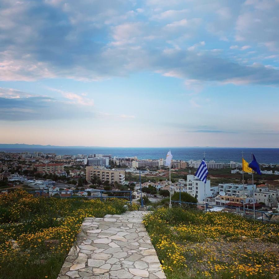Phaedrus Living: Seaside Luxury Villa Anafi 帕拉利米尼 外观 照片